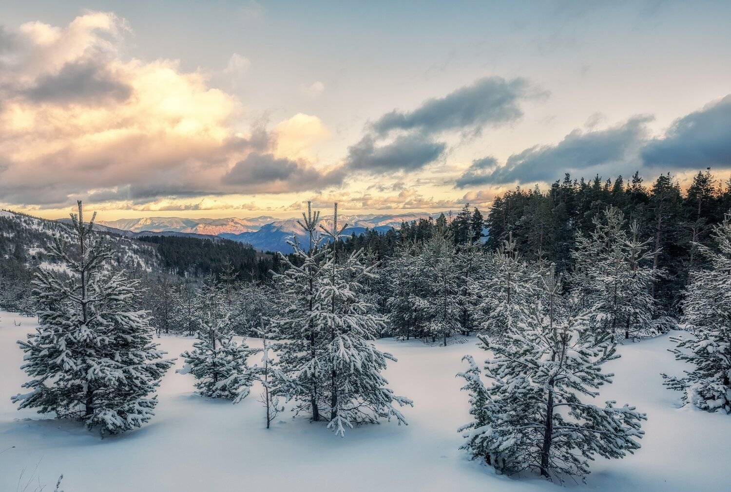 , Костадин Маджаров