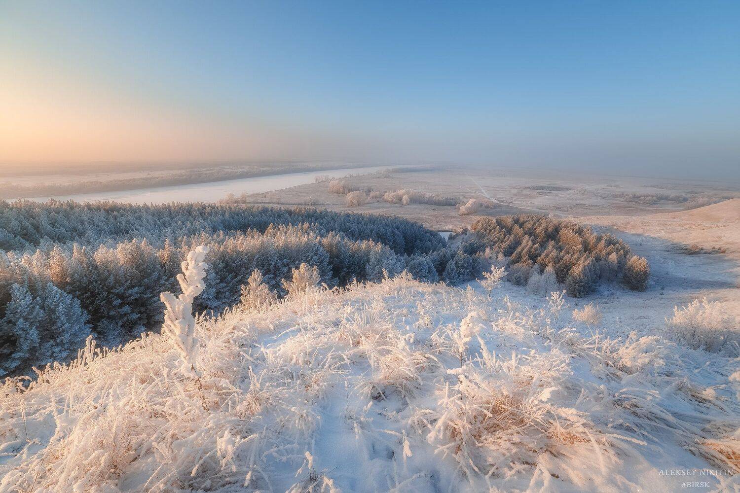, Алексей Никитин