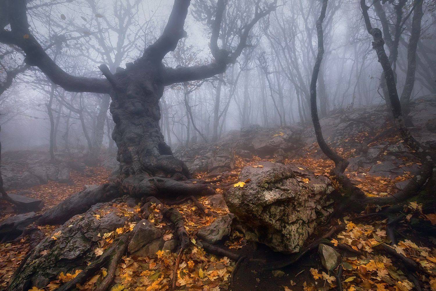 , Александр Костенко
