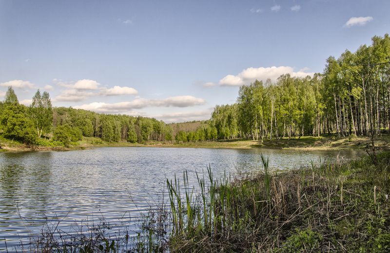 Озеро в лесу фото превью