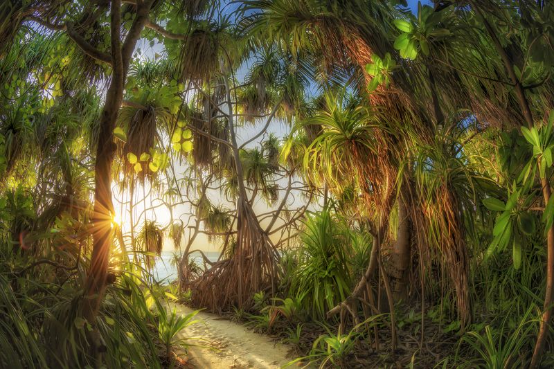 Утро Робинзона фото превью