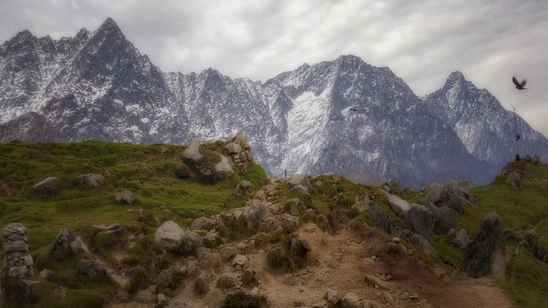пейзаж, горы, индия, природа, гималаи, красота, птицы, облачно, в горах В Гималаях по пути на плато Триунд. фото превью
