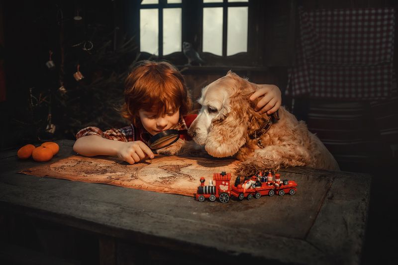 Мечтатели фото превью