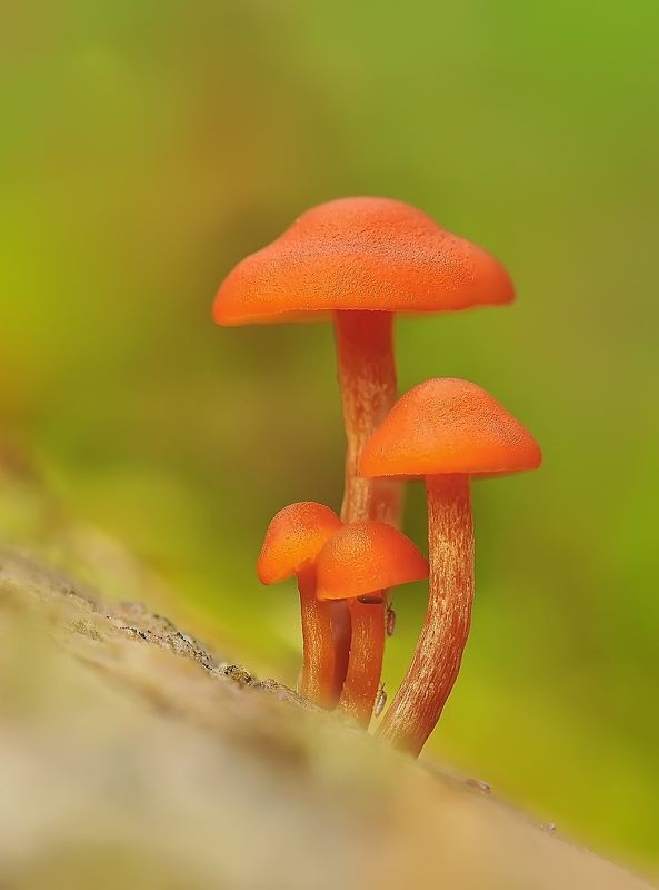 Коммунальная квартира :) фото превью