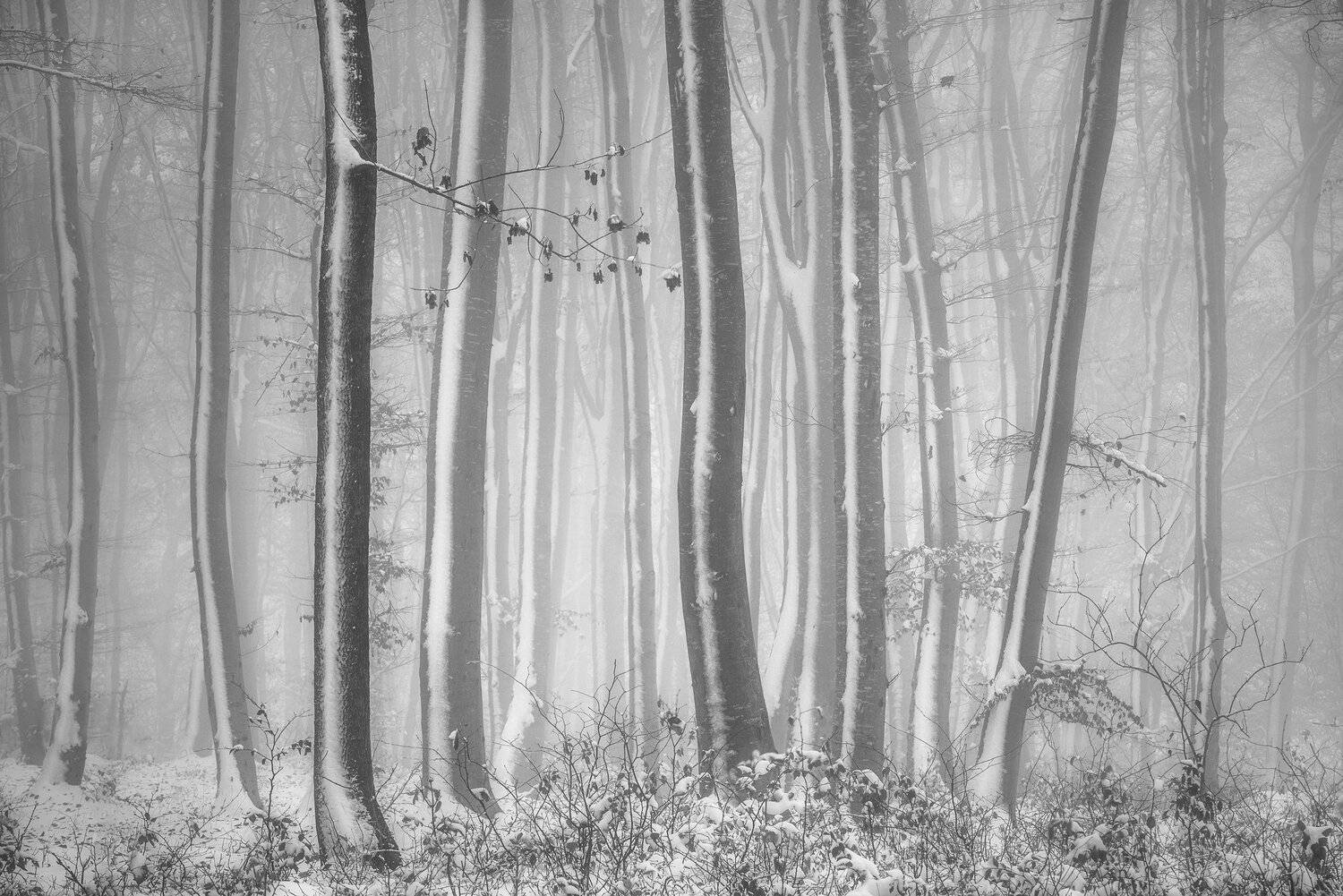 , Szabo Zsolt Andras