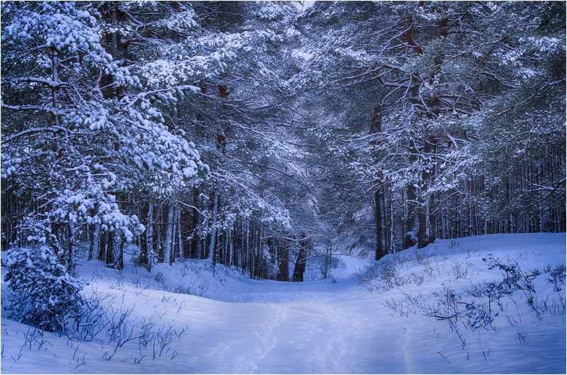 Дорога к морю. фото превью