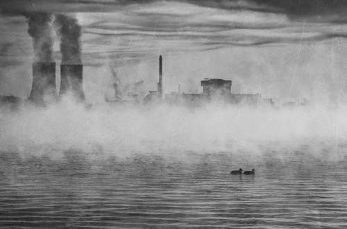 В поисках тепла...