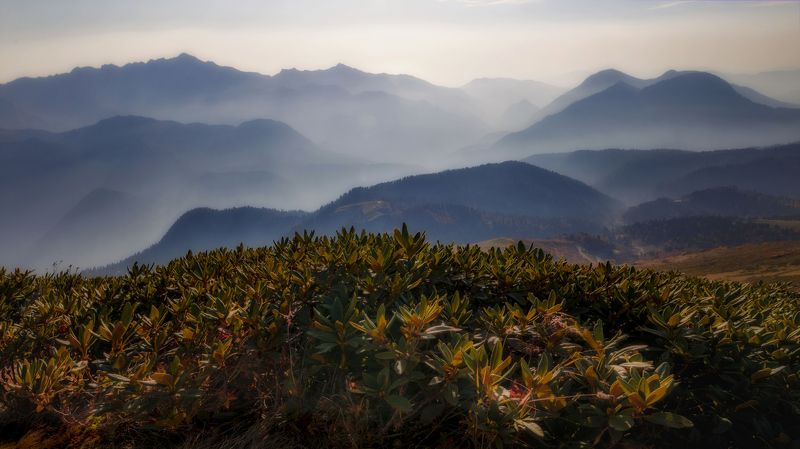 Тёплый осенний день в Кавказских горах фото превью