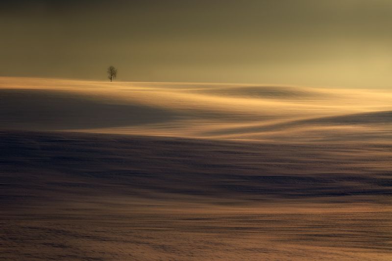 Winter фото превью