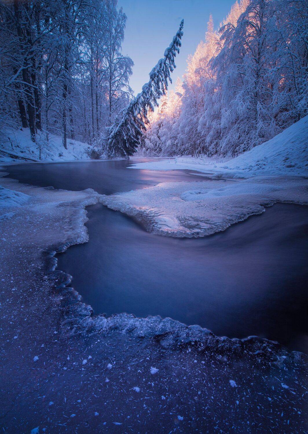 , Елена Ермолина