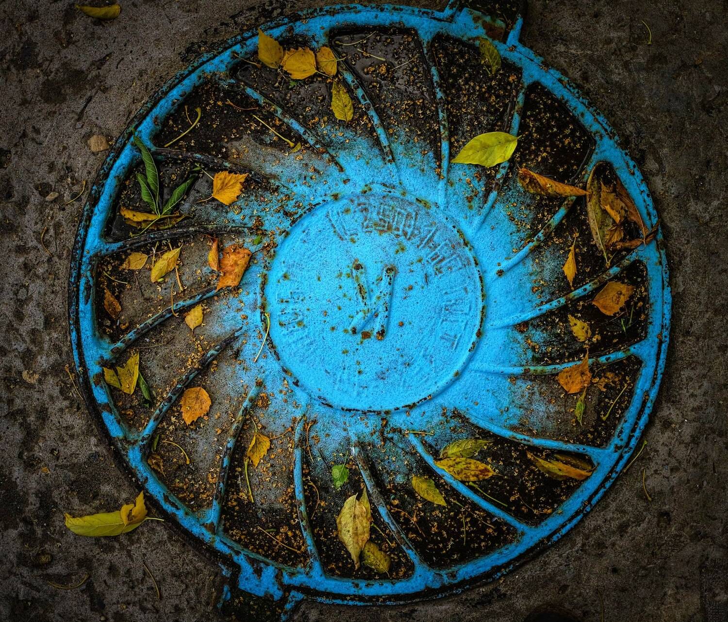 , Лариса Лофицкая