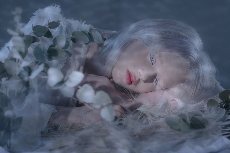 fragile фото превью