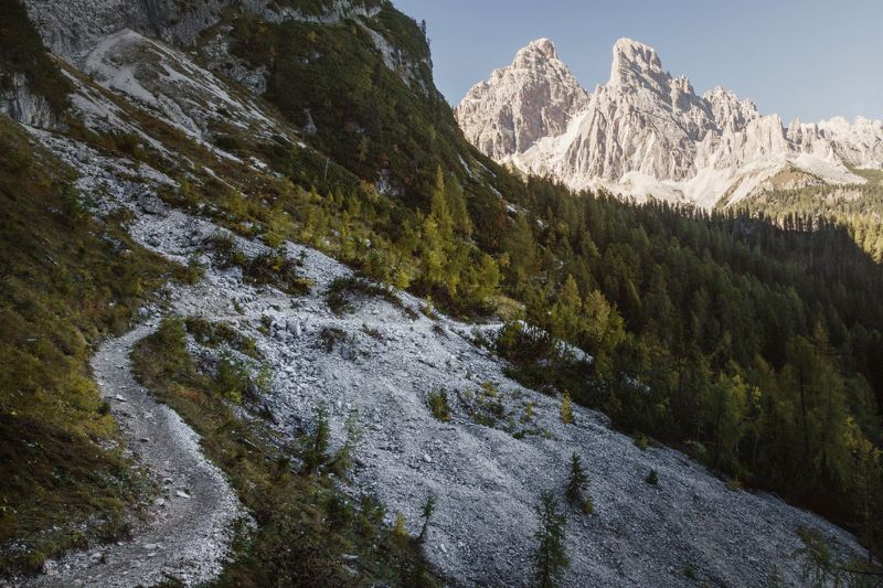 лес; горы; тропа; доломиты По пути фото превью