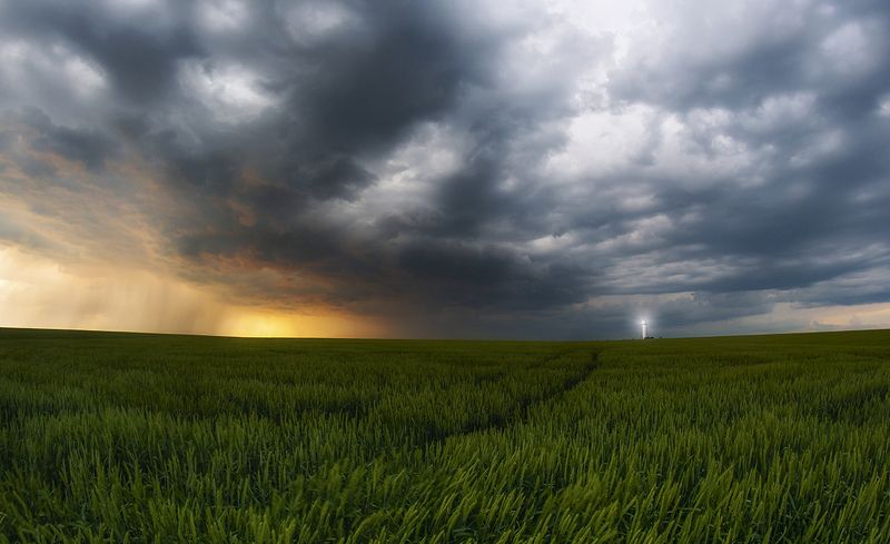 /// фото превью