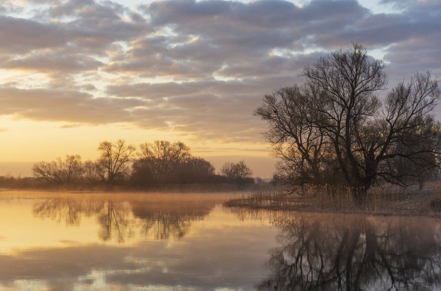 , Дмитрий Новоселов