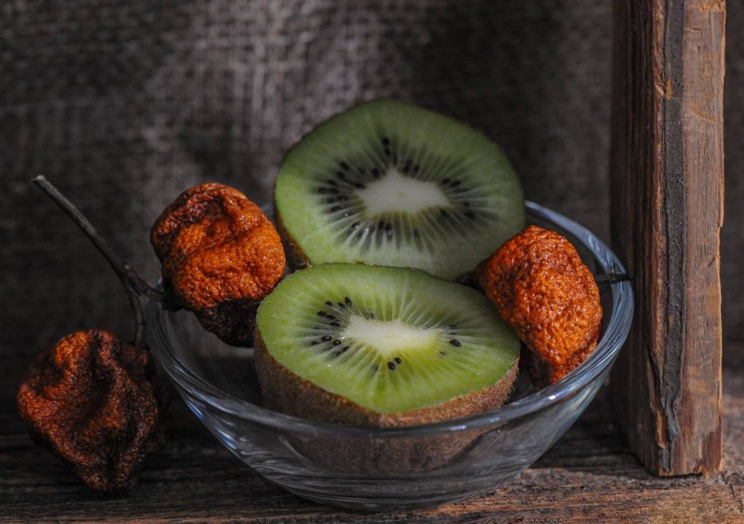 , Ольга Новикова