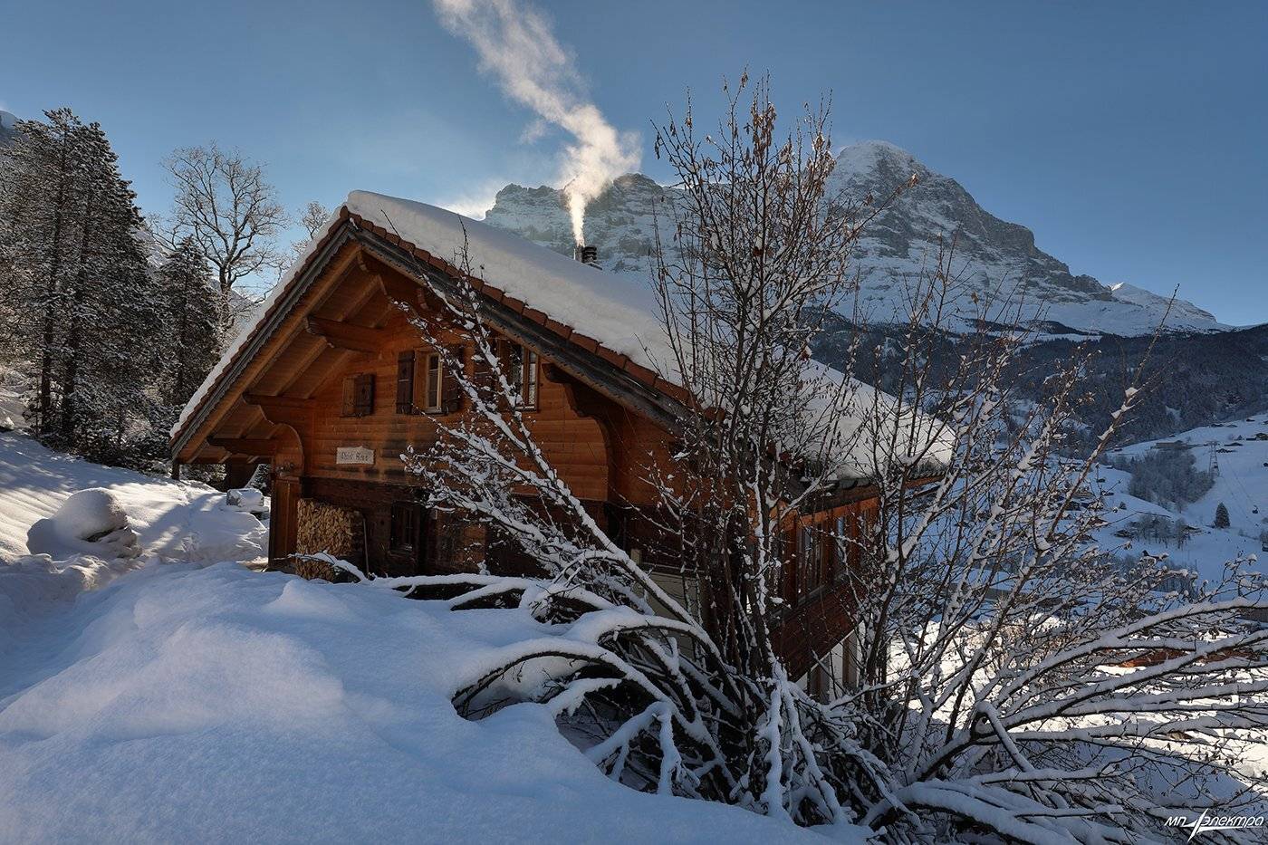 swiss, Матвеев Николай