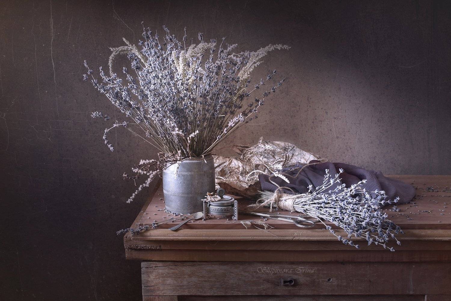 , Шипунова Ирина