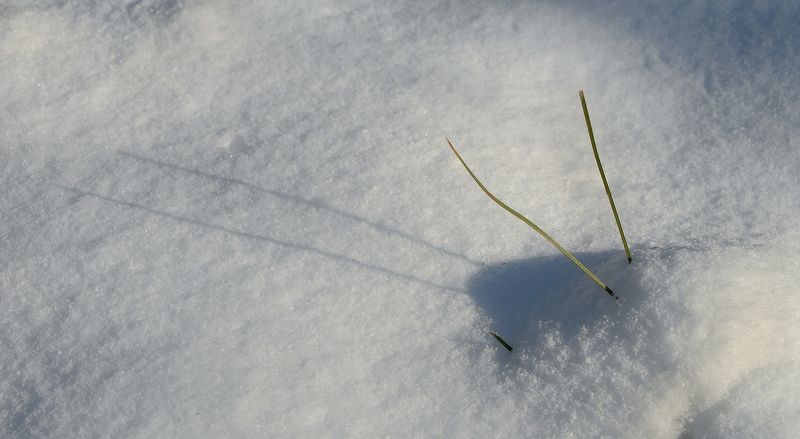 Зимние этюды фото превью