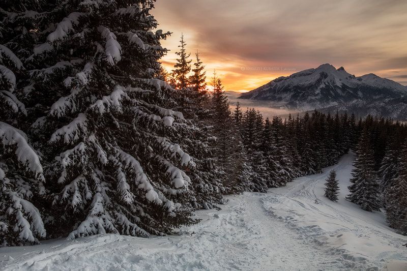 #Tatry #Sunrise #Poland #Landscape In the end of path фото превью