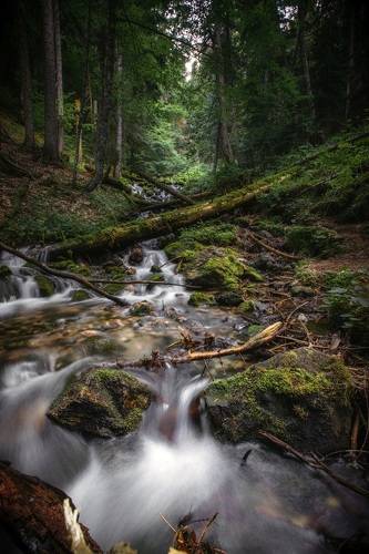 Горный ручей