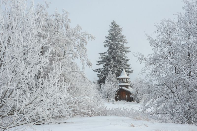 север,вологодчина,онего,ольково,зима *** фото превью