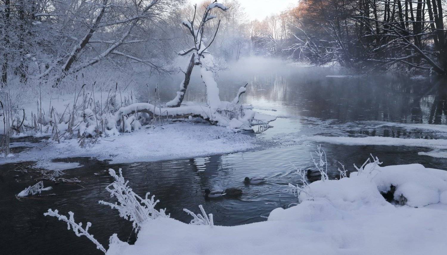 утро река, Валерий Козуб