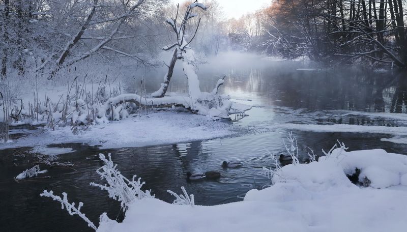 утро река Утро на реке фото превью