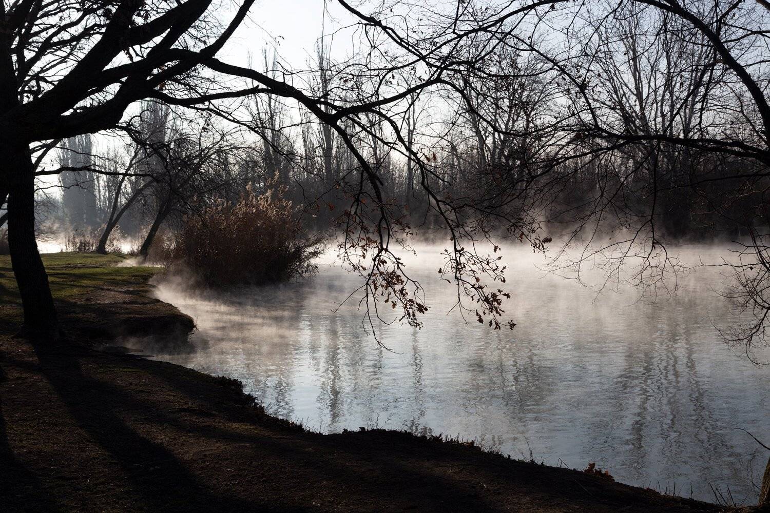 остров., туман, над, водой, Алексей Рыльский