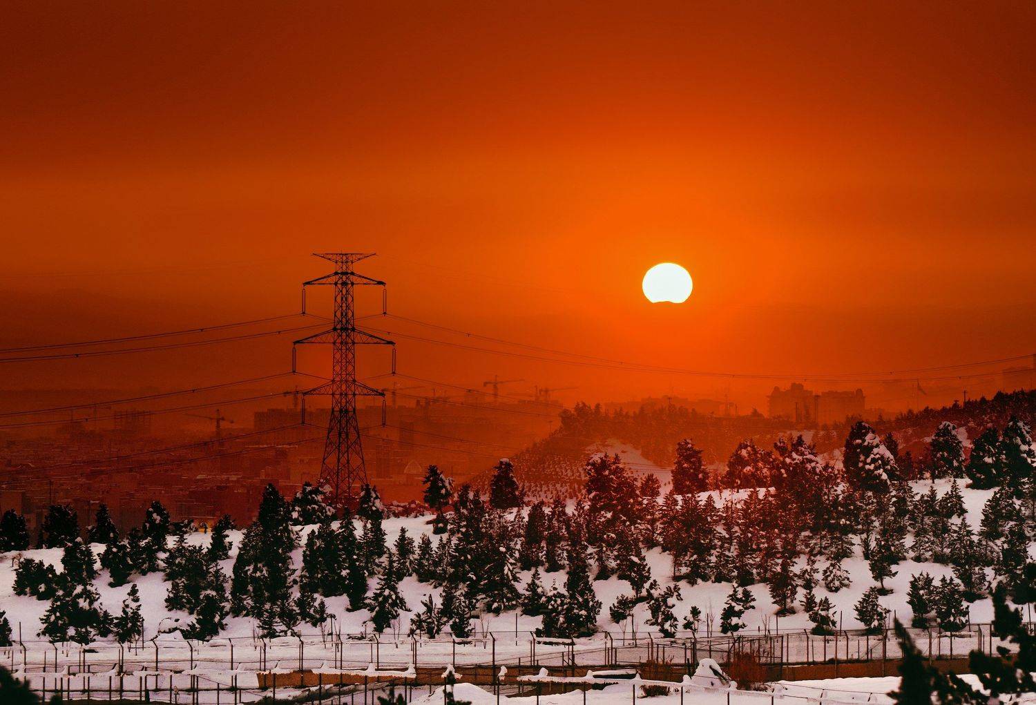 , Farshad Yazdankhah