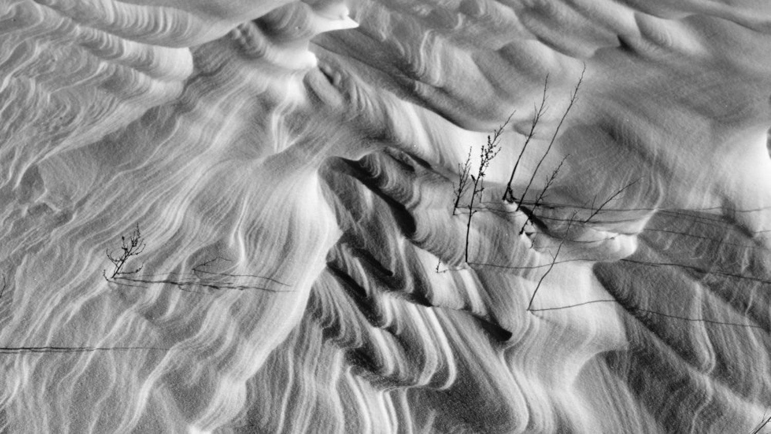 snow, wind, field, winter, abstract, fineart, Yvon Jolivet