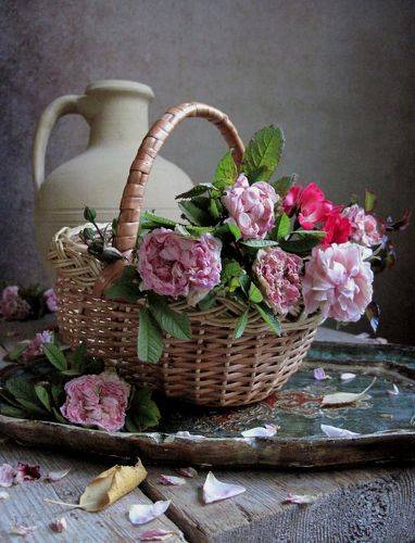 Корзинка цветочницы