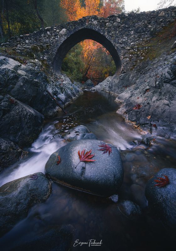 Elias Bridge