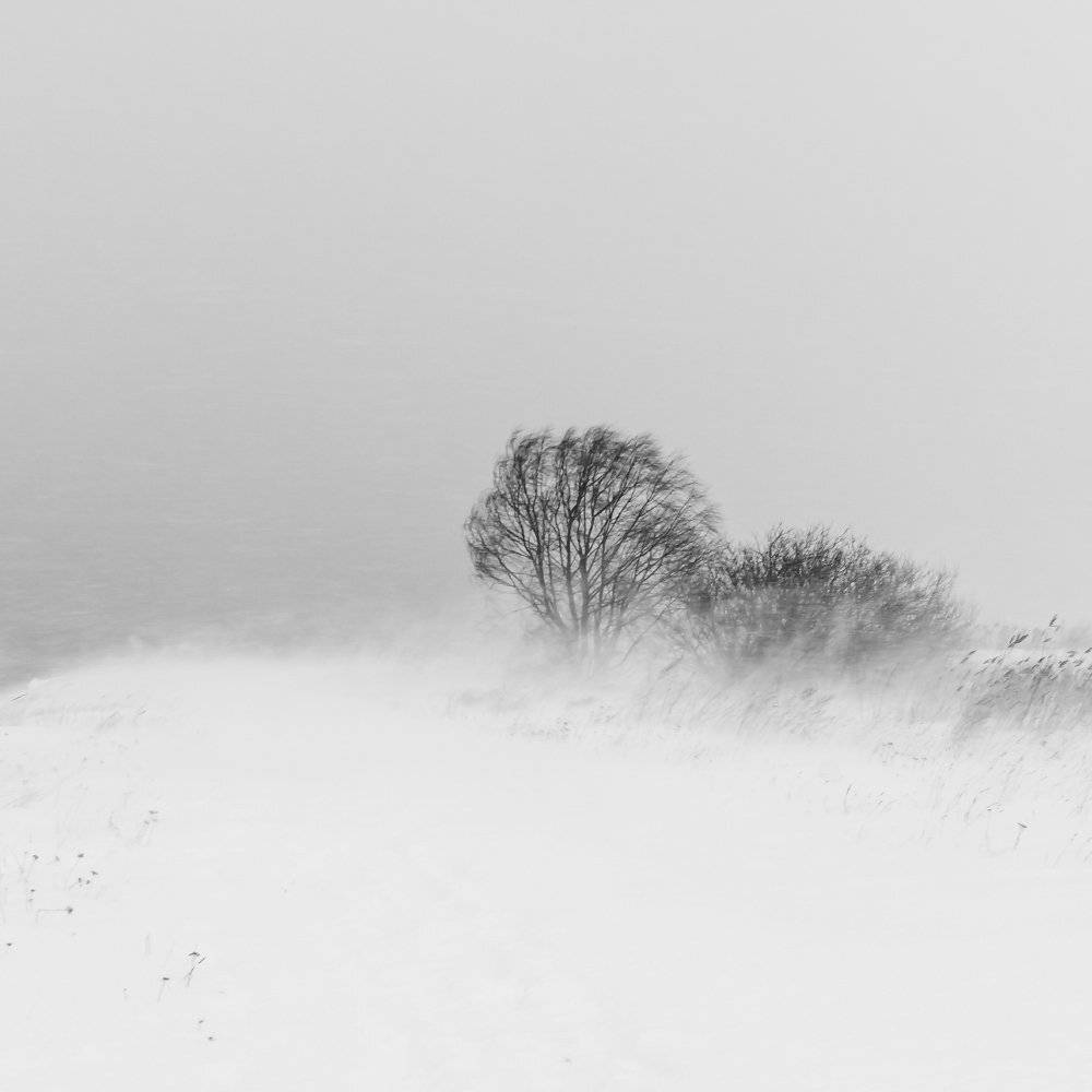 , Александр Абросимов