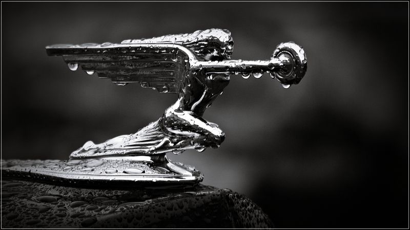 ZIL фото превью