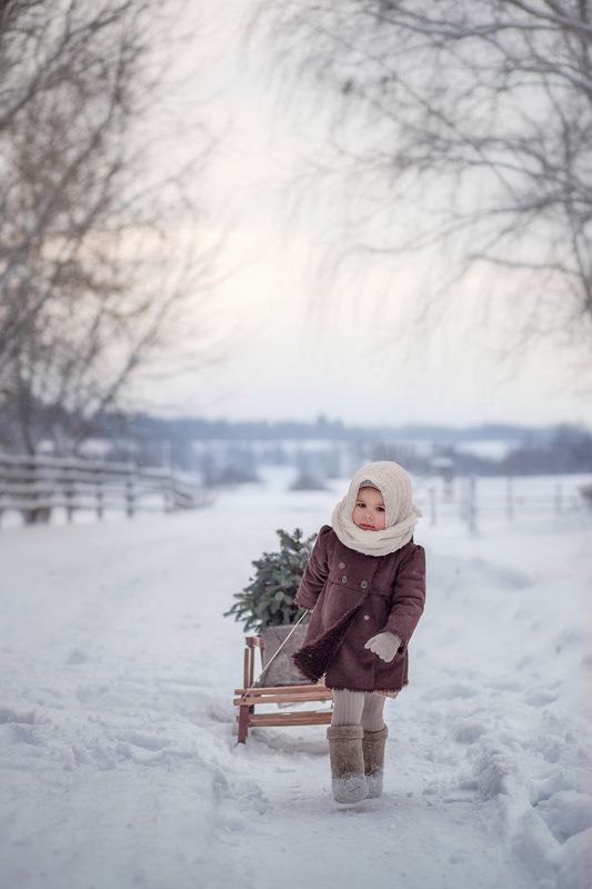 За елкой фото превью