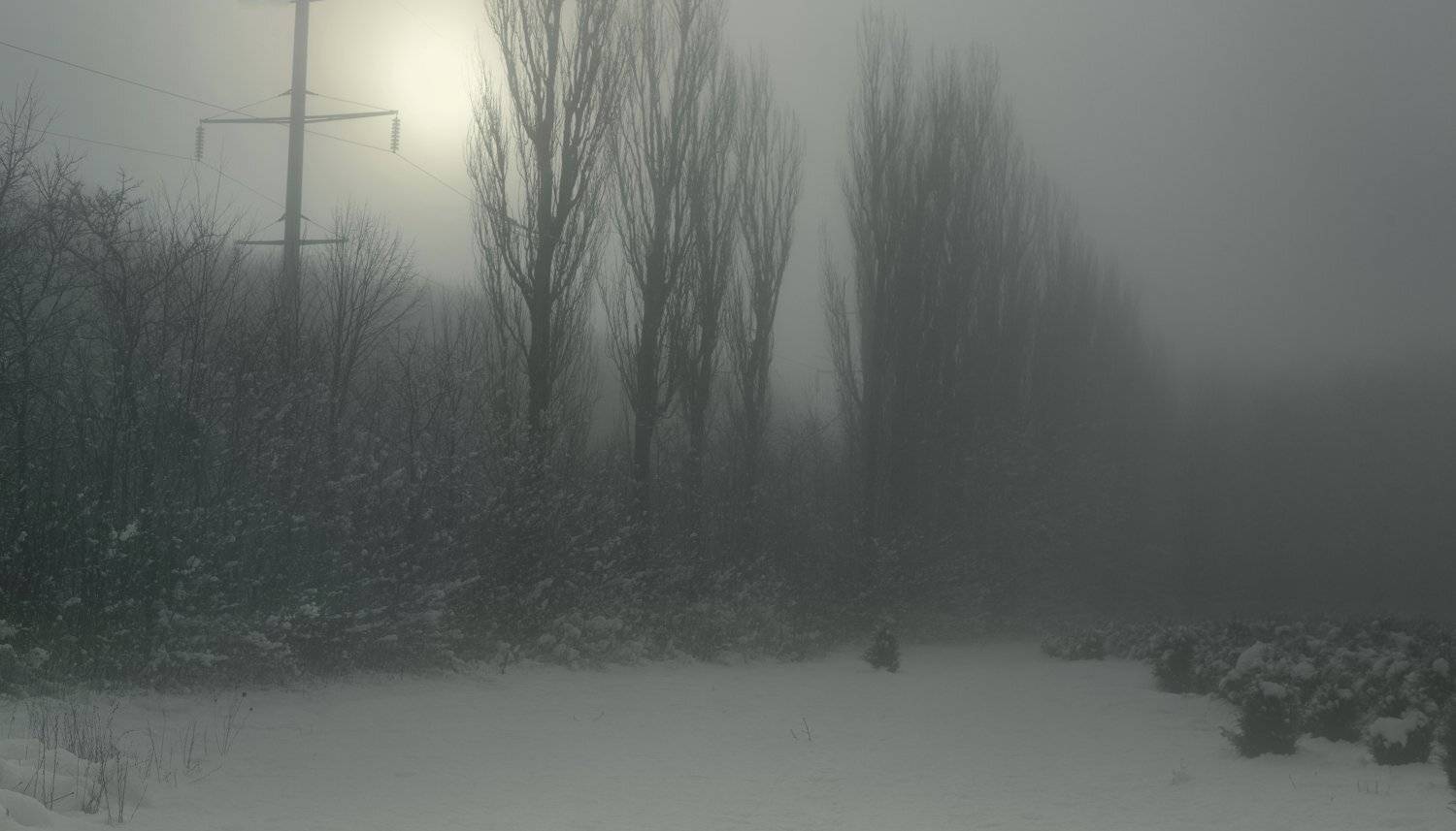 зима туман лес утро, Александр Жарников