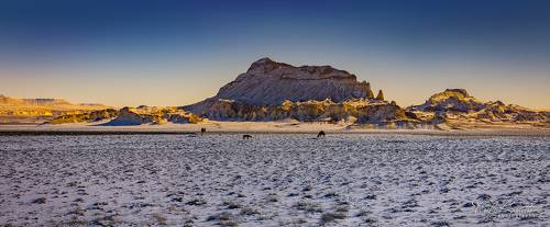 странная троица