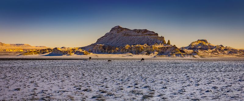 казахстан, полуостров мангышлак, долина акмыштау, февраль 2014 странная троица фото превью