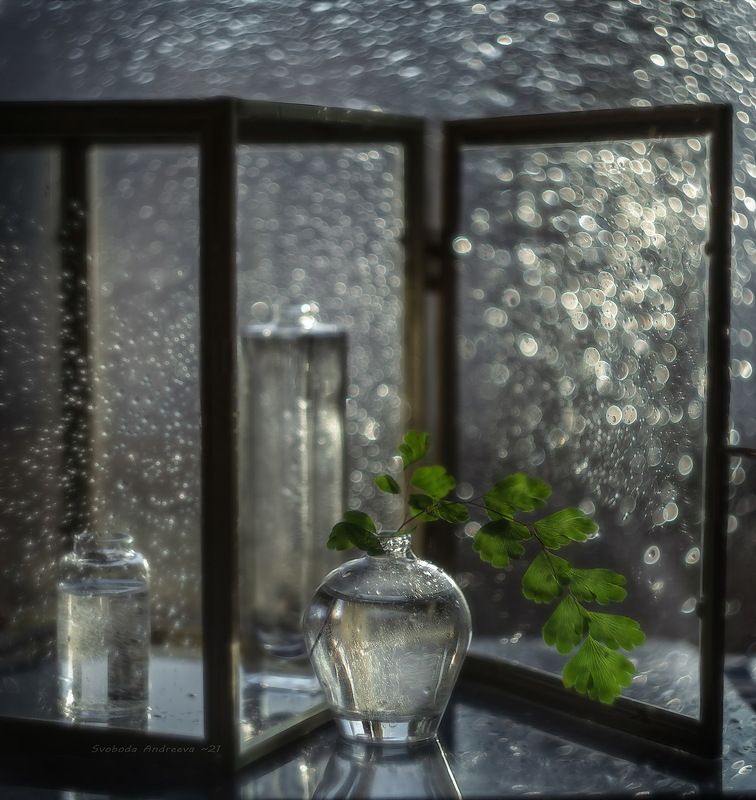Bokeh dance*