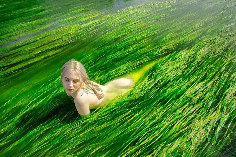 Late Summer Feng Shui фото превью