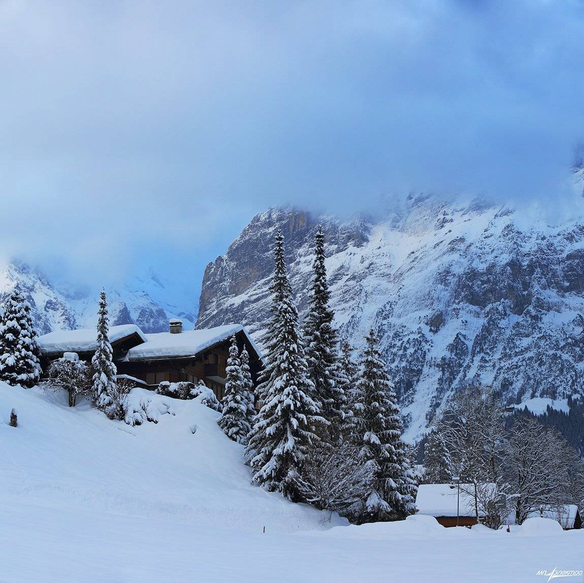swiss, Матвеев Николай