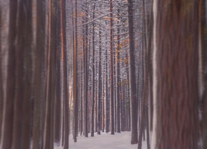 *** фото превью