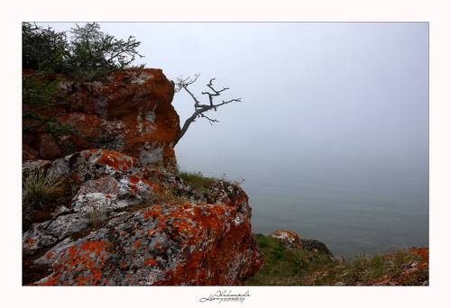 Ушканьи острова. Байкал