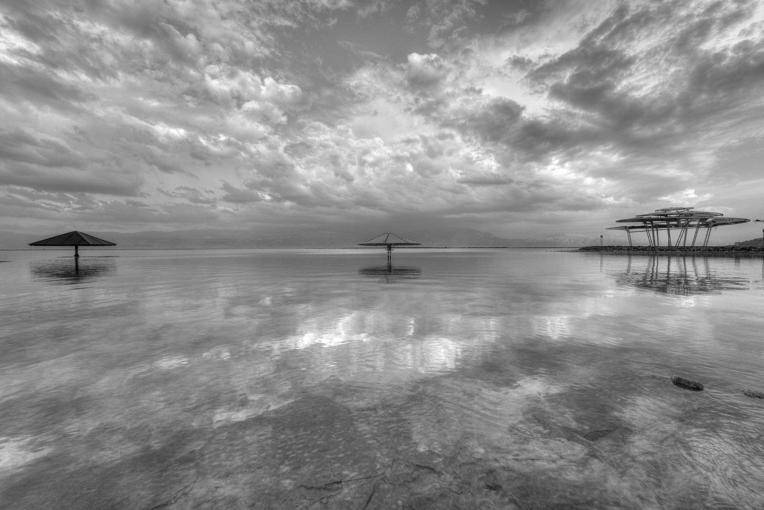 , David Solodar