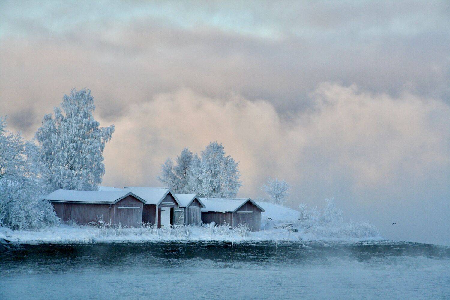 landscapes, nature, fjord, trondheim, norway, trees, frost, winter, cold, sea, fog, houses, boat, houses, coast, bird, Svetlana Povarova Ree