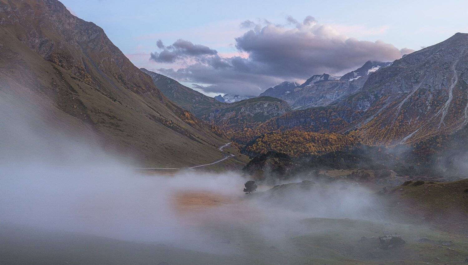 , ДМИТРИЙ ПУЗЕНКО