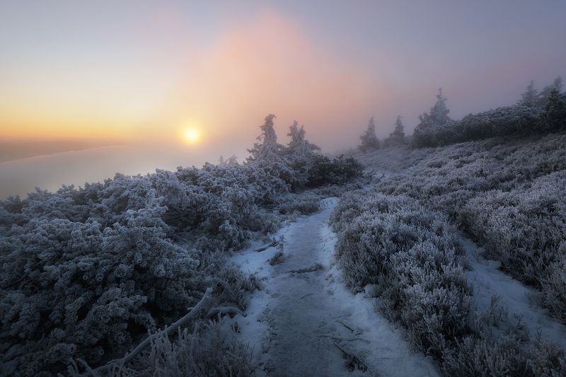 mountain, winter,snow,sunrise Red mountain фото превью