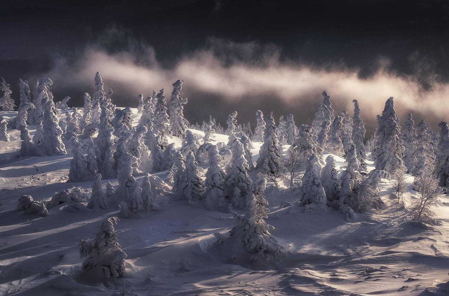 , Татьяна Бирюкова