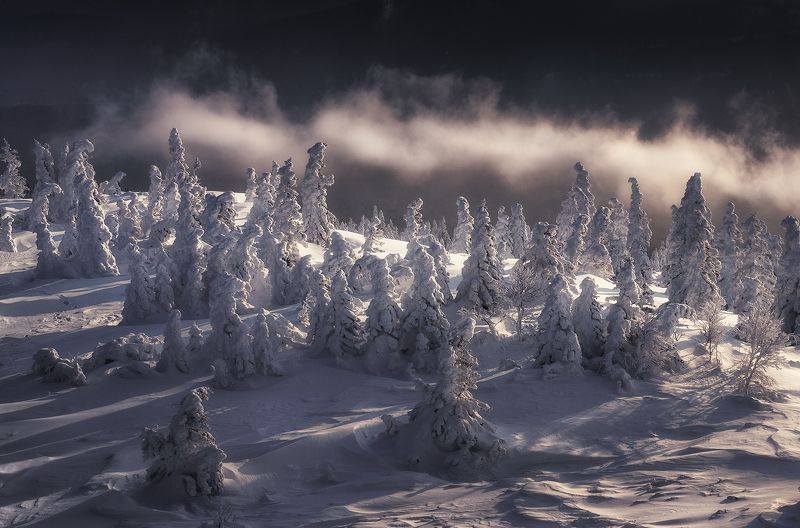 Мрак фото превью